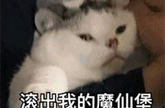 超级搞笑的表情包动图,超级搞笑表情包动图大盘点