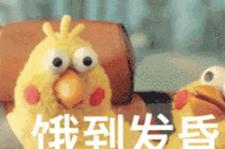 网红鹦鹉表情包,萌态百出，笑点连连