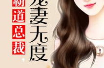 宠妻无度 小说,宠妻无度的奇幻旅程