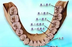 磨牙的治疗方法,治疗方法与预防策略”