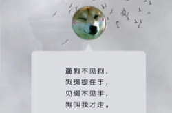 关于雾霾的笑话 大爷,大爷的幽默视角